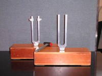 Tuning Forks (with Mallet)