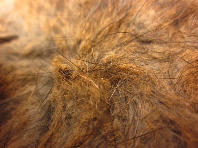 Fur