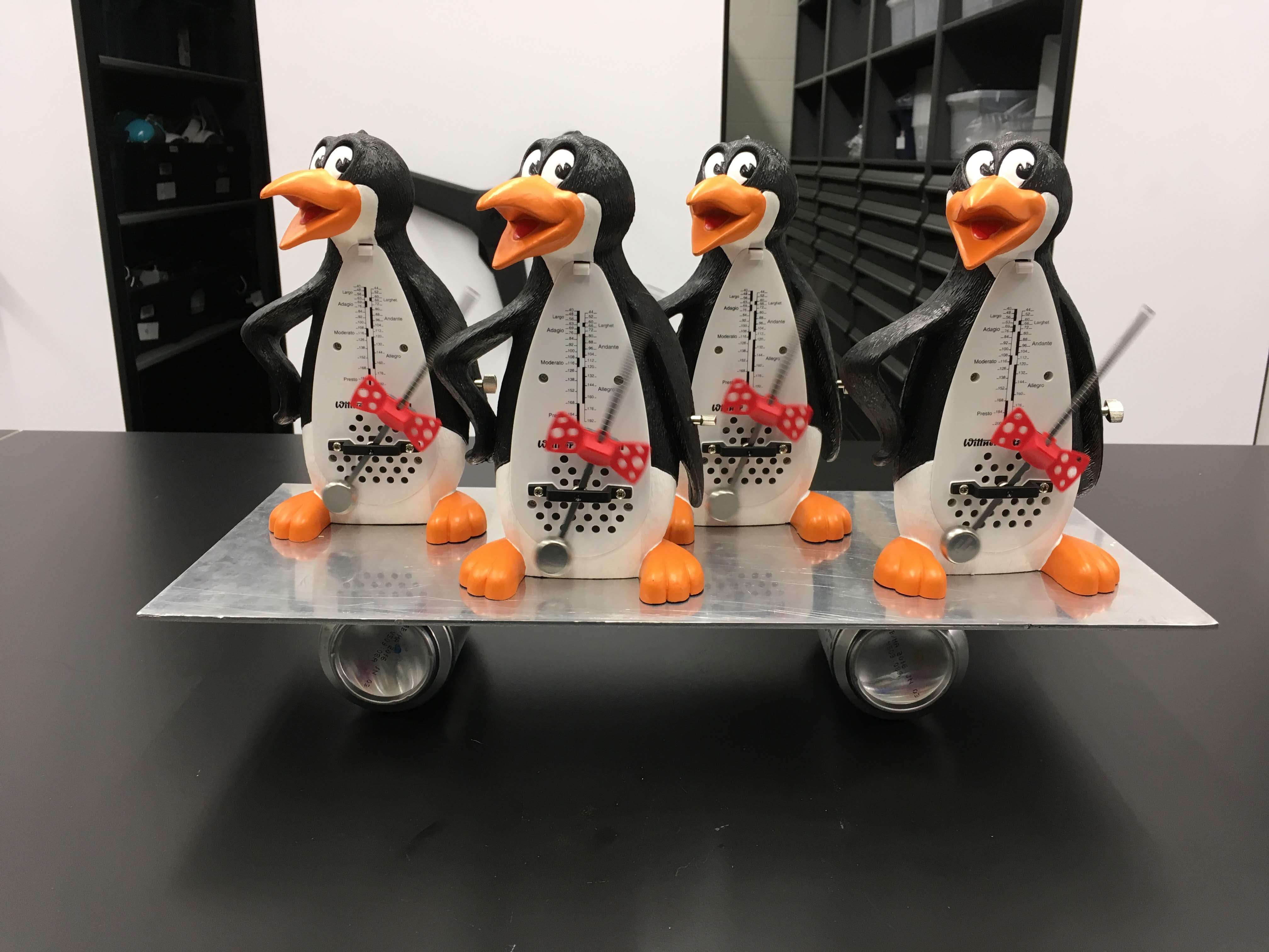 penguins